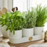 Sophie Conran Herb Pots - Buttermilk