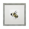 Scruffy Bumblebee II Foil Finished Framed Picture