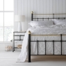 Wrought Iron & Brass Bed Co. Bertie Brass Bed  