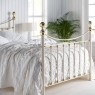 Wrought Iron & Brass Bed Co. Lottie Brass Bed  