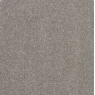 Pegasus Carpet 4m