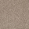Pegasus Carpet 4m Esteem