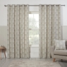 Esher Eyelet Headed Lined Curtains Silver