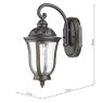 Johnson Outdoor Wall Light Black/Gold Glass IP44