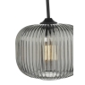 Demarius 1 Light Pendant Black & Smoked Glass