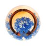 Dartington Caithness Glass Charms Paperweight - Cornflower 