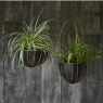 Indoor Kensington Brass Hanging Plante