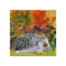 There's a Hedgehog in My Garden Greeting Card