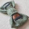 Tweed Dog Bow Tie - Green