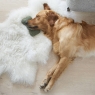 Dog Bone Green