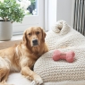 Dog Bone Orange