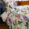 Graham & Brown Botanical Bright Duvet Set Multi