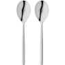 Serving Spoon Pair