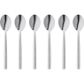6pc Teaspoon Set