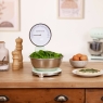 SMEG Scales Pastel Green
