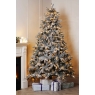 Full Frosted Lit Tree