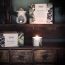 RHS Warm Spice Wax Melt Gift Set
