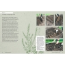 Kew Gardener's Guide To Growing Vegetables.