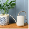 Collector Scalloped Indoor Watering Can Mushroom