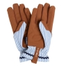 Collector Gloves Blue Stripe 
