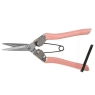 Pink flower Snips Blush collector 