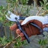 Navy Bypass Secateurs Collector