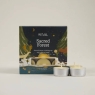 St Eval Tealight Christmas Sacred Forest