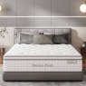 Merrion Plush Mattress 