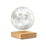 Gingko Smart Moon Lamp White Ash