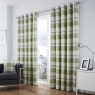 Fusion Balmoral Eyelet Headed Curtains Lined Green