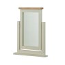 Pemberley Swing Mirror - Stone