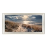 Sunlit Hour - Framed Print