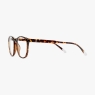 Dalston Blue Light Reading Glasses Tortoise Glossy