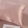 Silk Pillow Case