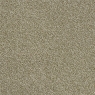 Savannah Twist Sedge Carpet 4M