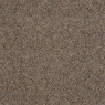 Trinity Berber Pecan Carpet 4M