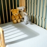 Sleepeezee Little Bedz Essential Cot Mattress 