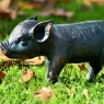 Standing Watchful Pig - Garden Sculpture