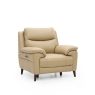 Detroit Chair Power Recliner & Head Tilt