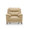 Detroit Chair Power Recliner & Head Tilt