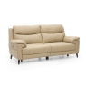 Detroit 2.5 Seater Sofa Power Recliner &  Head Tilt