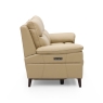 Detroit 2.5 Seater Sofa Power Recliner &  Head Tilt