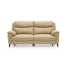 Detroit 2 Seater Sofer Power Recliner & Head Tilt