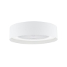 Ceiling Fan & Light with White Shade