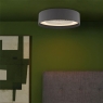 Ceiling Fan & Light with Grey Shade