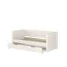 CWTDB classic day bed + open trunlde white CUT OUT