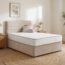 Robinia 1000 Divan Bed