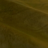 UV Olive