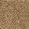 Apollo Plus Shortbread Carpet Roll End 3.20 x 4.80M