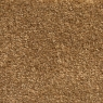 Apollo Plus Caramel Carpet Roll End 3.55 x 4.00M